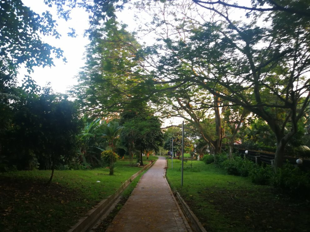 Bukit Kiara Park景点图片