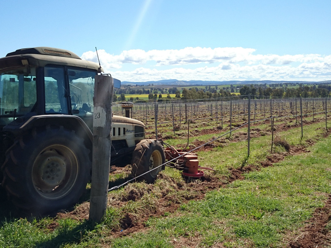 Rosnay Organic Wines of Australia-Canowindra必去景点
