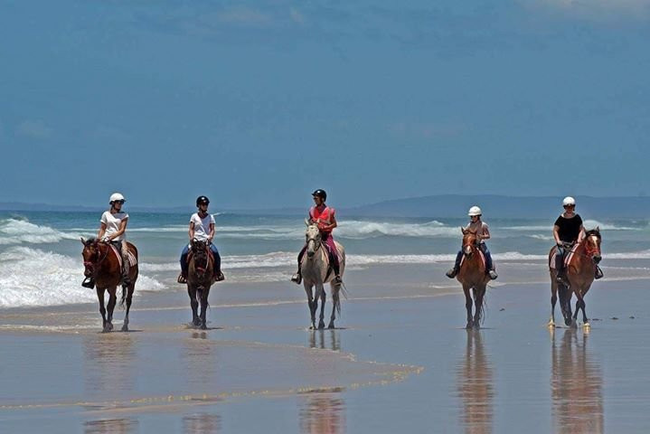 Tassiriki Ranch Beach Horse Riding & Holiday Cabins景点图片