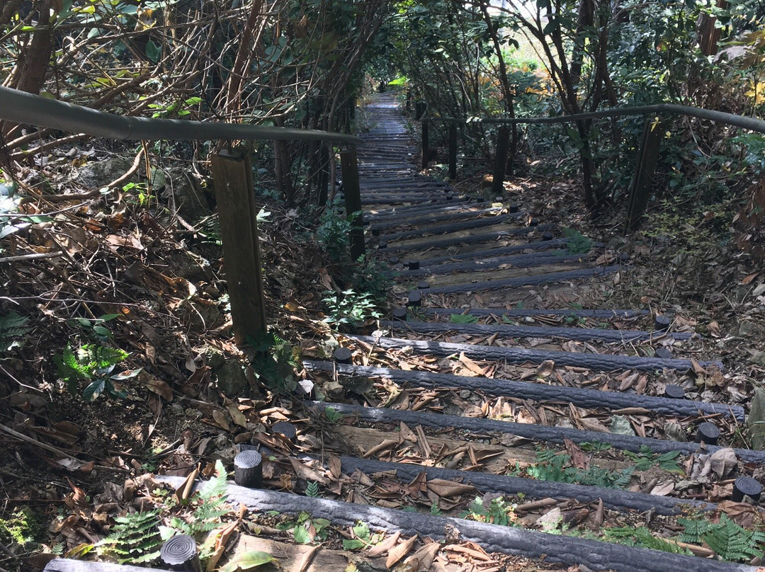 Fudosan no Kyoseki-桥本市必去景点
