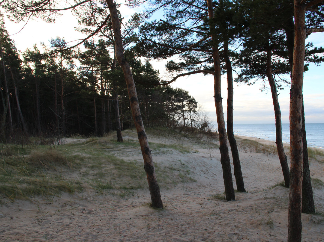 The Seaside Regional Park-帕兰加必去景点