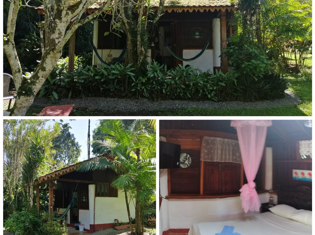 Chalet Hibiscus主图