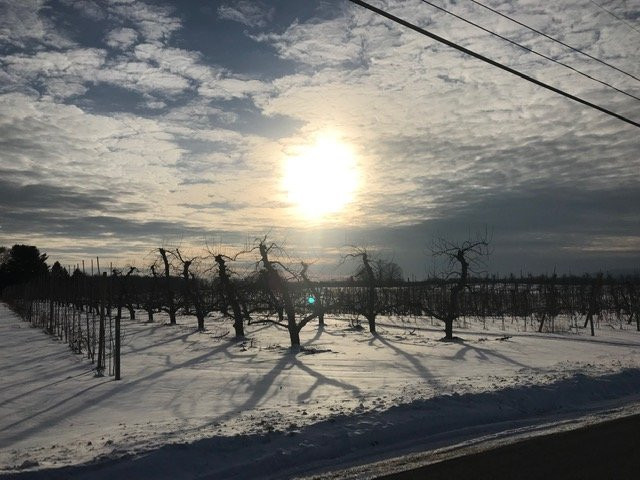 Watergrasshill Bed & Breakfast主图