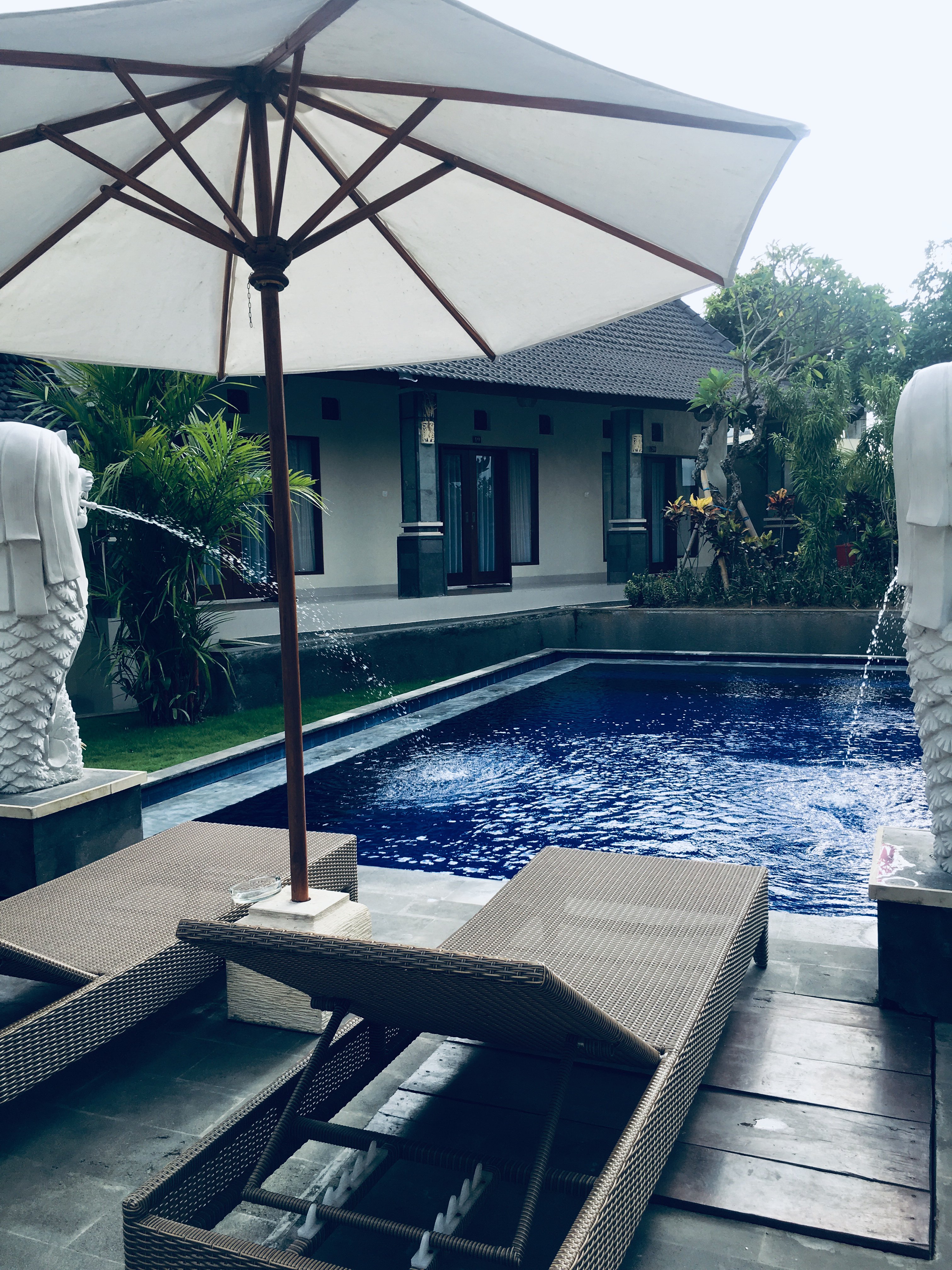 OYO 828 Lilis Cempaka Mas Guesthouse-泳池