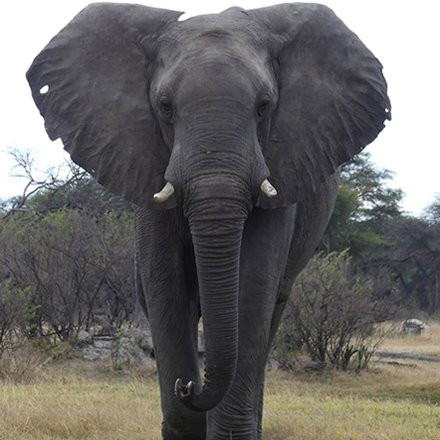 Albertine Tours-吉佳利必去景点