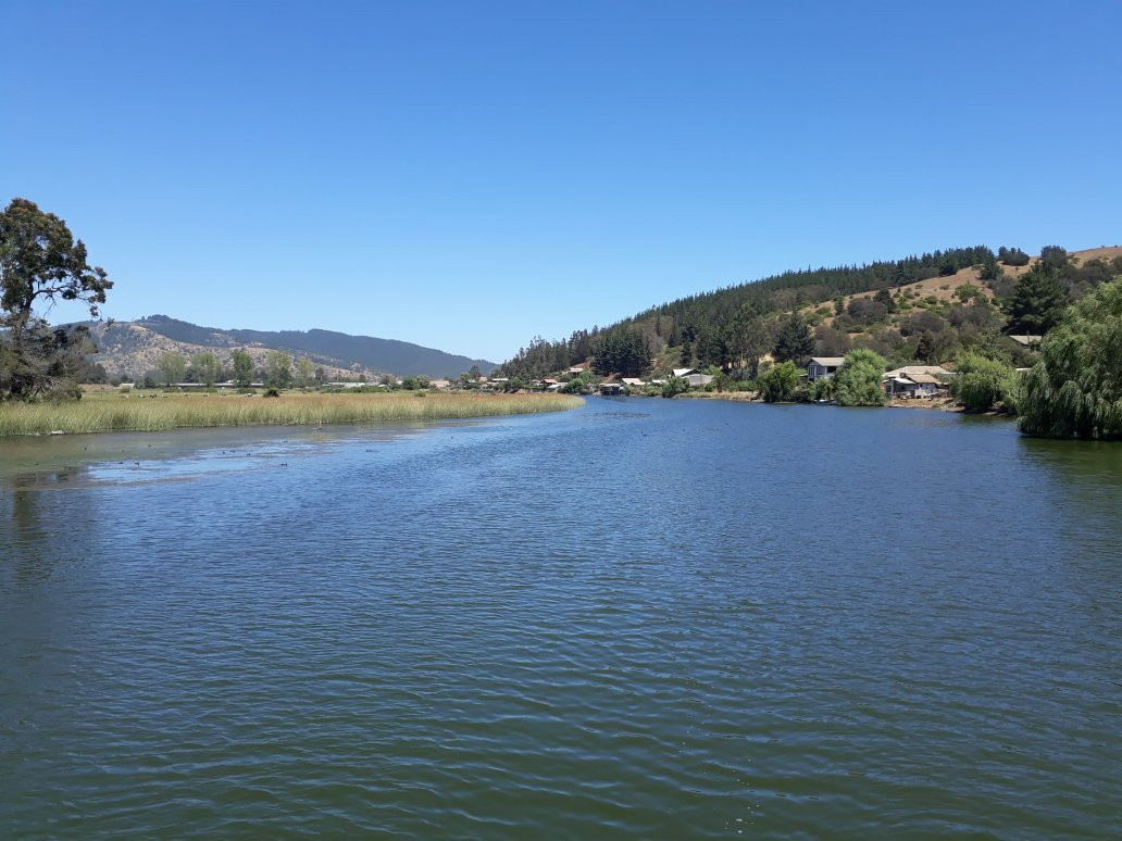 Reserva Nacional Laguna Torca景点图片