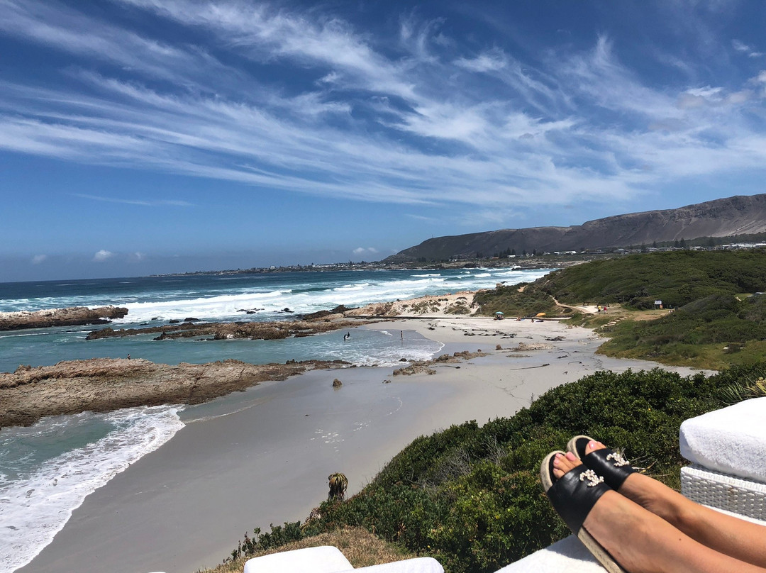 Birkenhead House主图