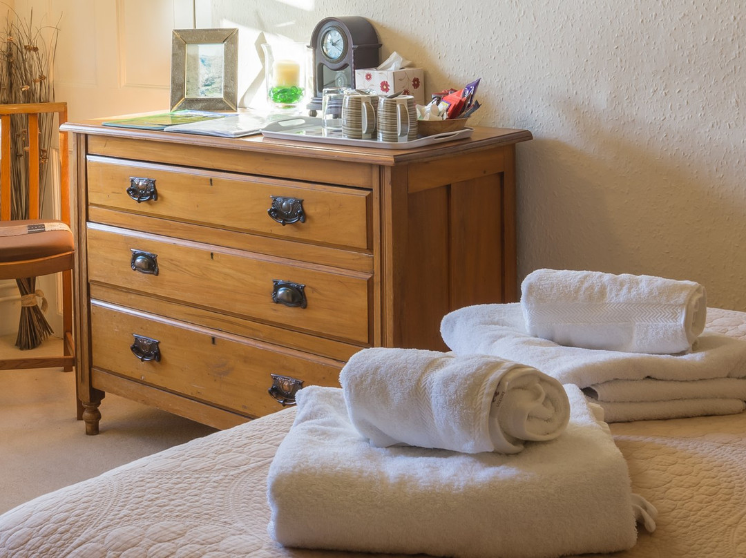 The Bridge Inn主图