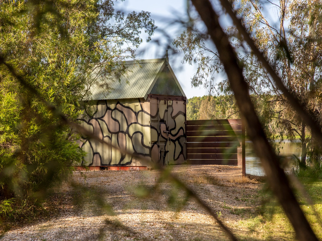 Wonga Wetlands-奥尔伯里必去景点