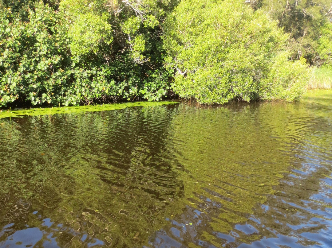 Everglades景点图片