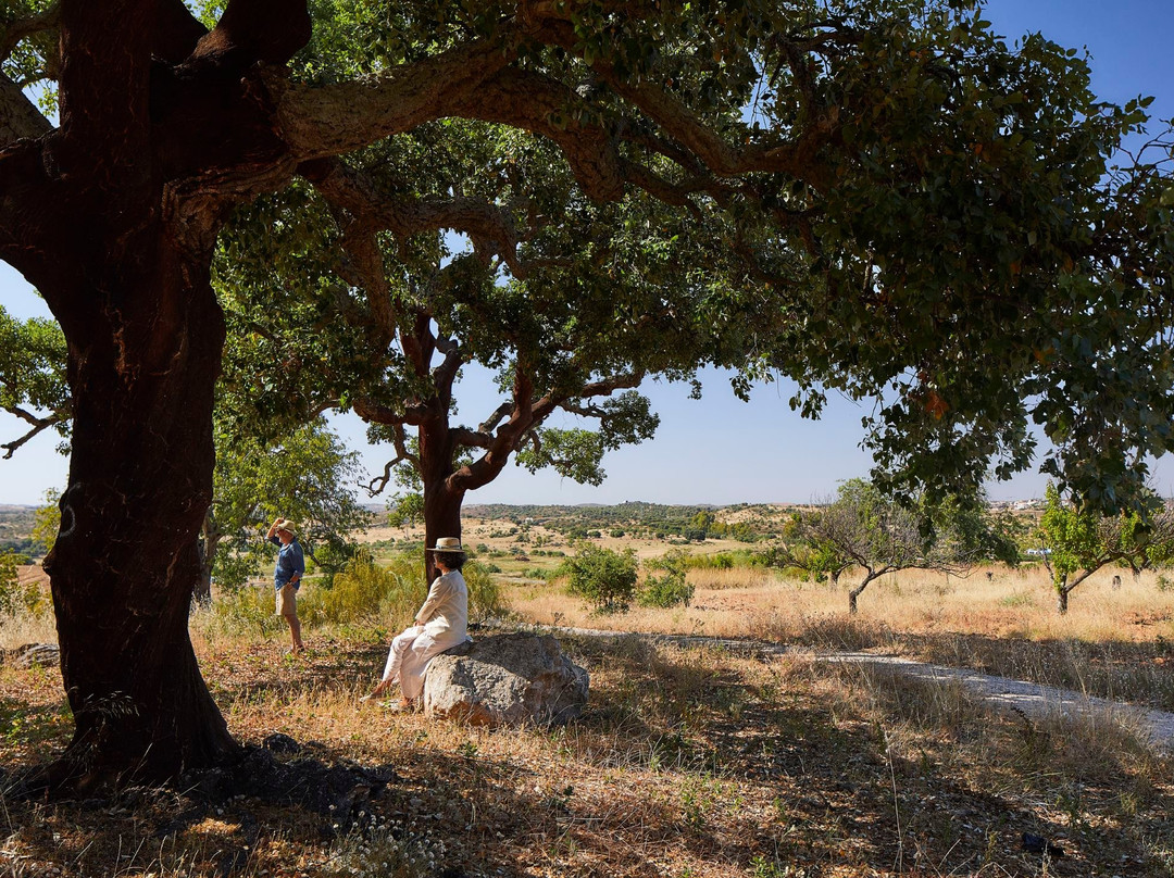 Sao Bartolomeu旅游攻略图片