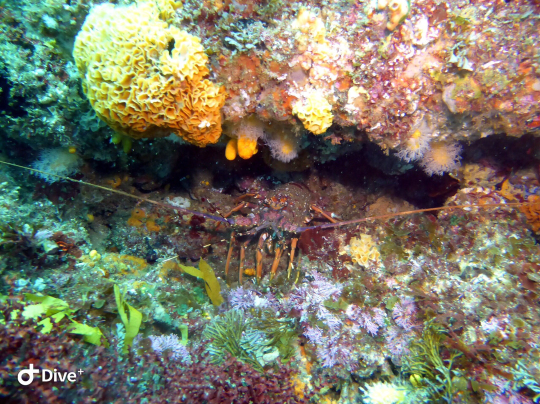 African Watersports-Umkomaas必去景点