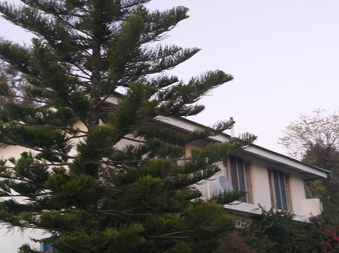 Colonel's Resort主图