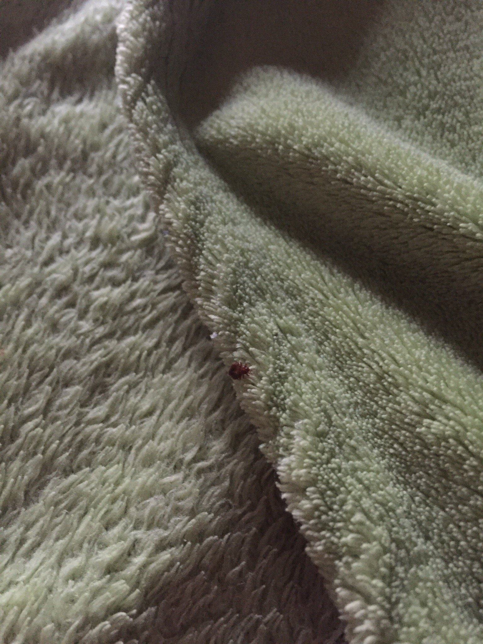 Qinglian Youth Hostel-官方