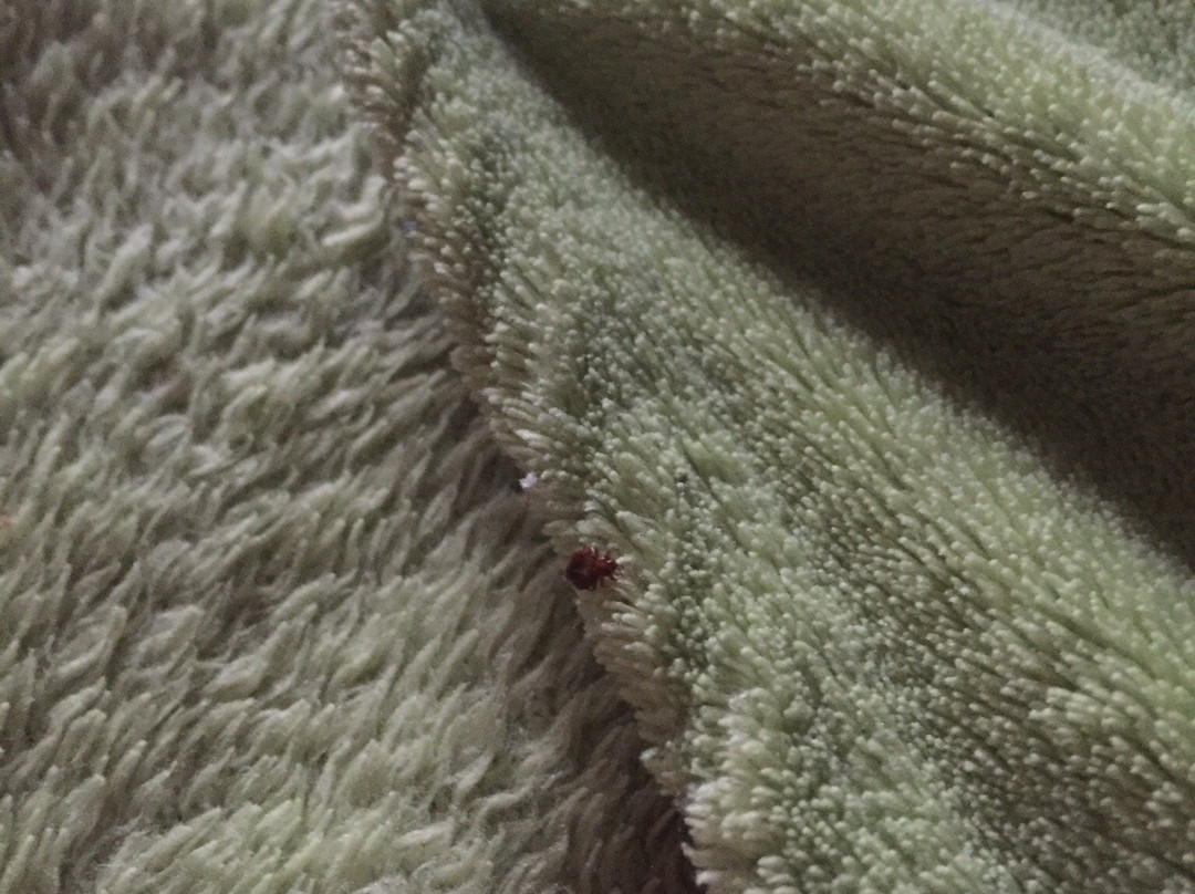 Qinglian Youth Hostel主图