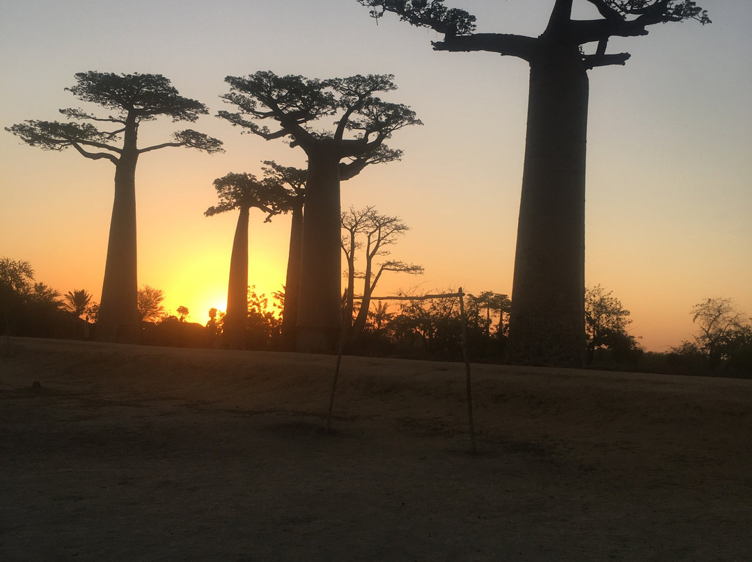 Madagascar Magic Tours景点图片