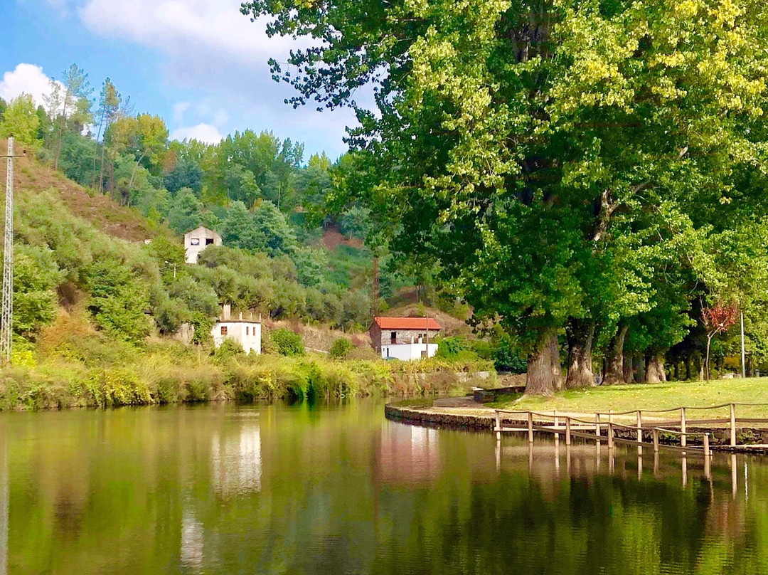 Castelo Branco District旅游攻略图片
