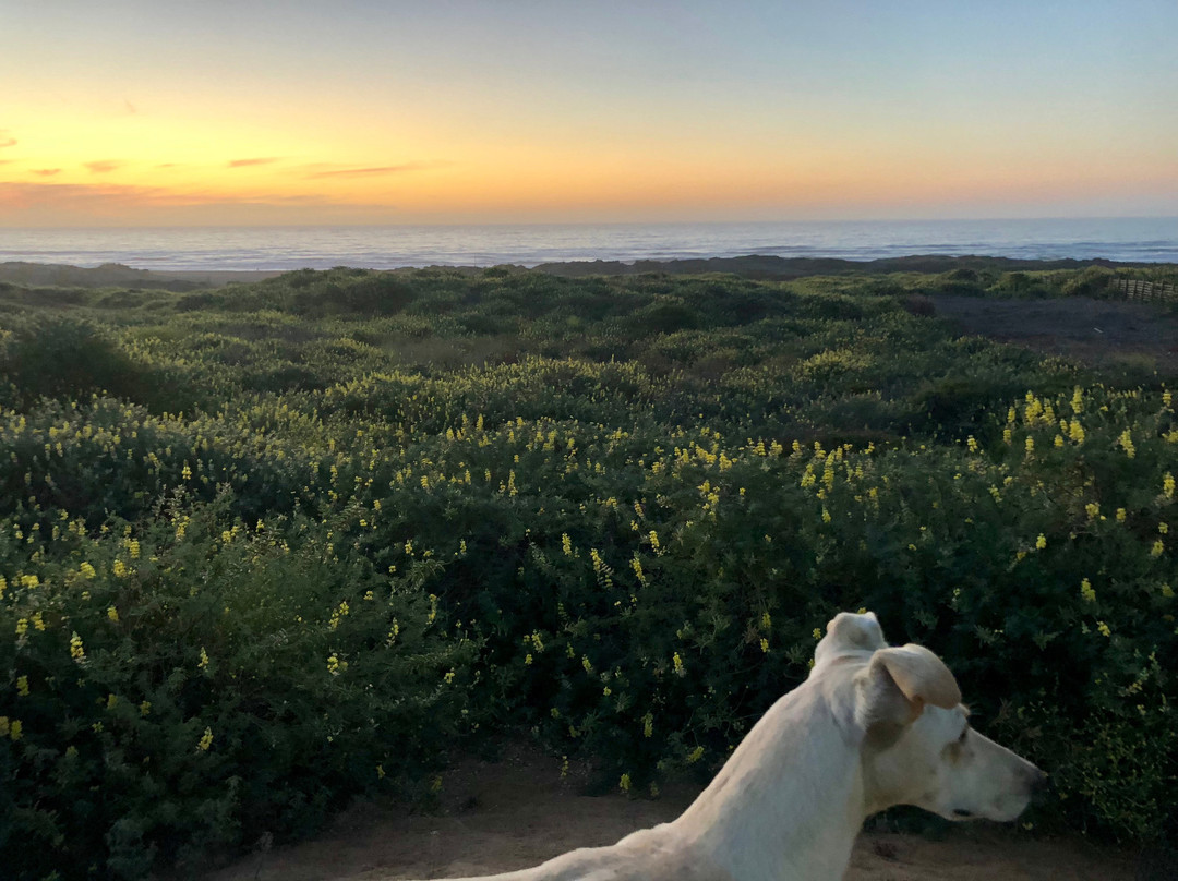 Oceanos-皮钦勒姆必去景点