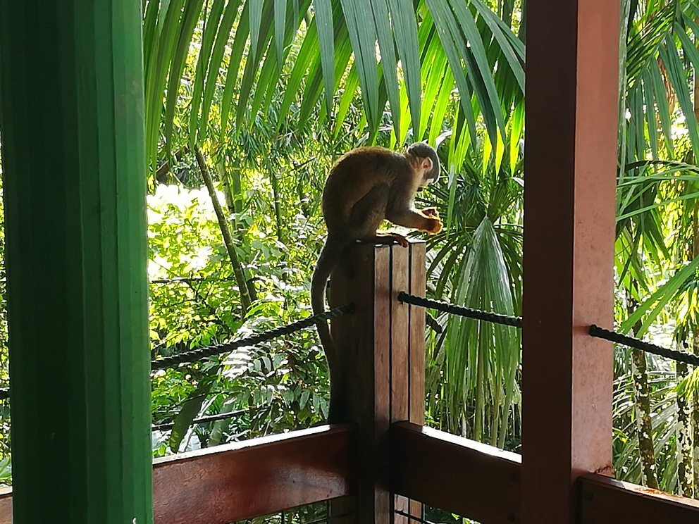 Hosteria El Paraiso de las Orquideas主图