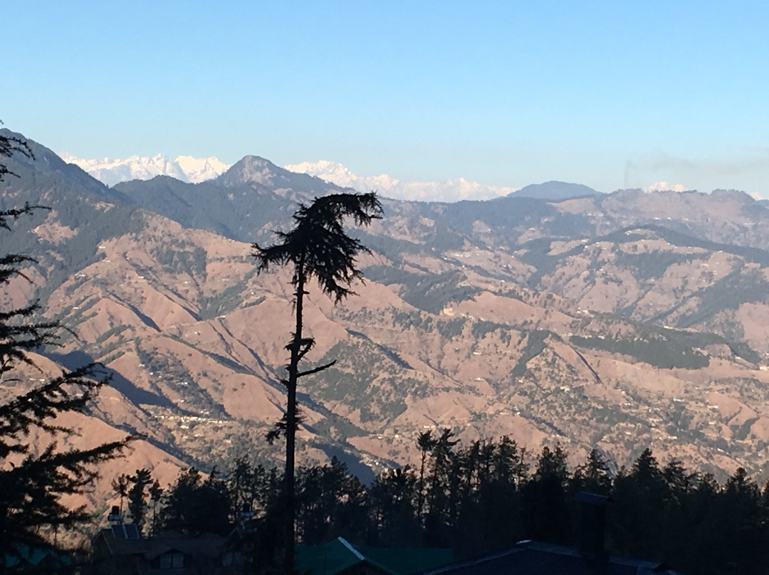 默哈苏之家主图