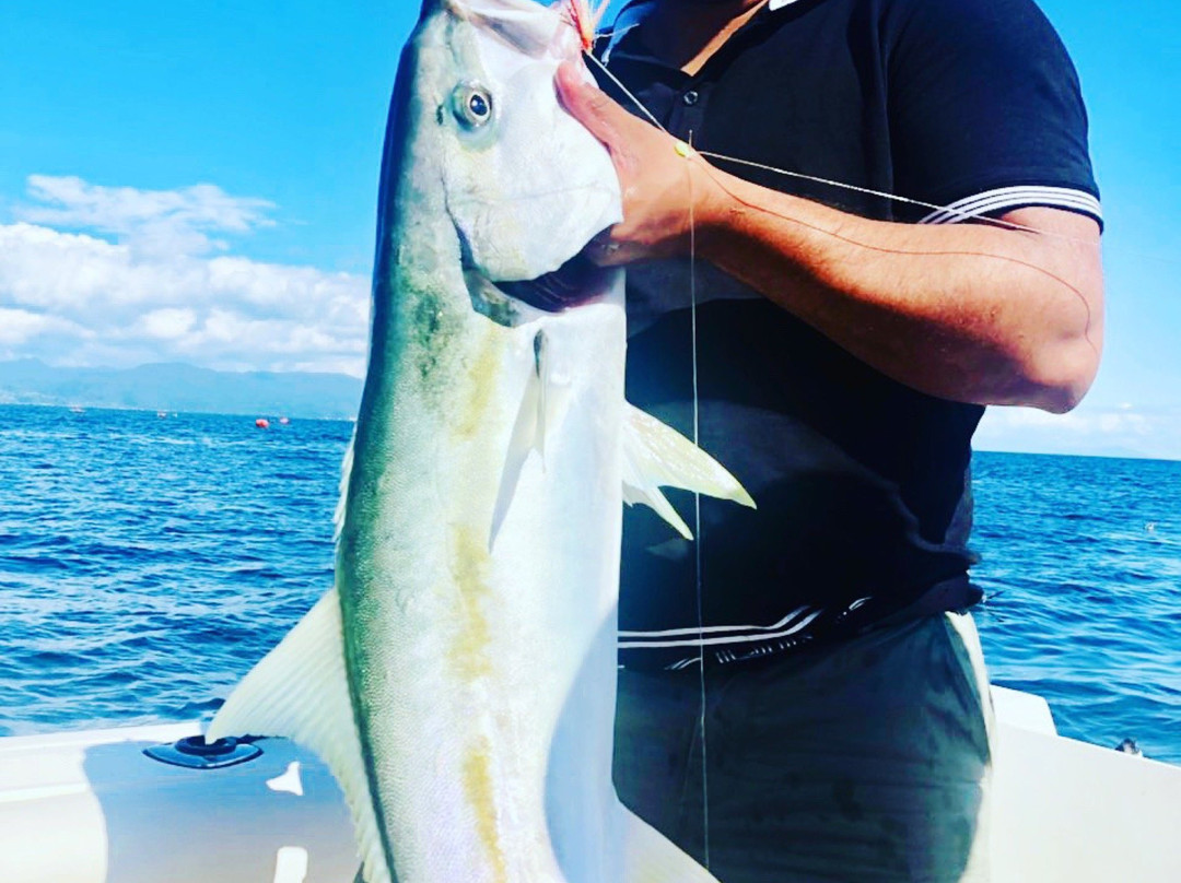 瓦卡瓦湾-奥克兰中心地区必去景点