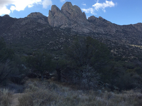 Aguirre Spring National Recreation Area-Organ必去景点