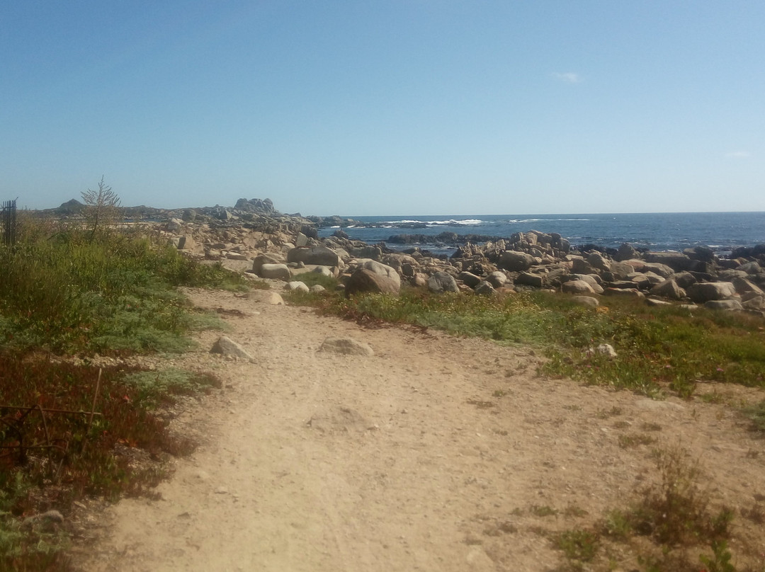 Playa Punta De Tralca景点图片