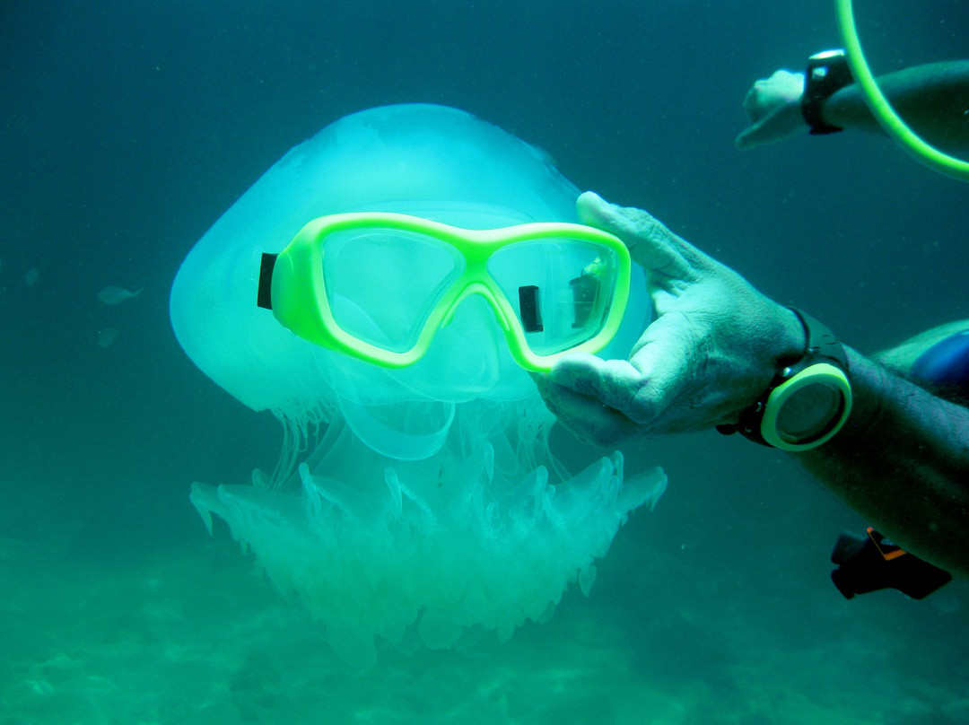 Phil Hai Diving Phu Quoc Island景点图片