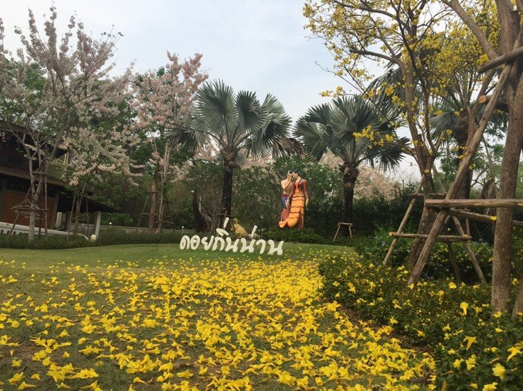 Doi Thin Nan Resort主图