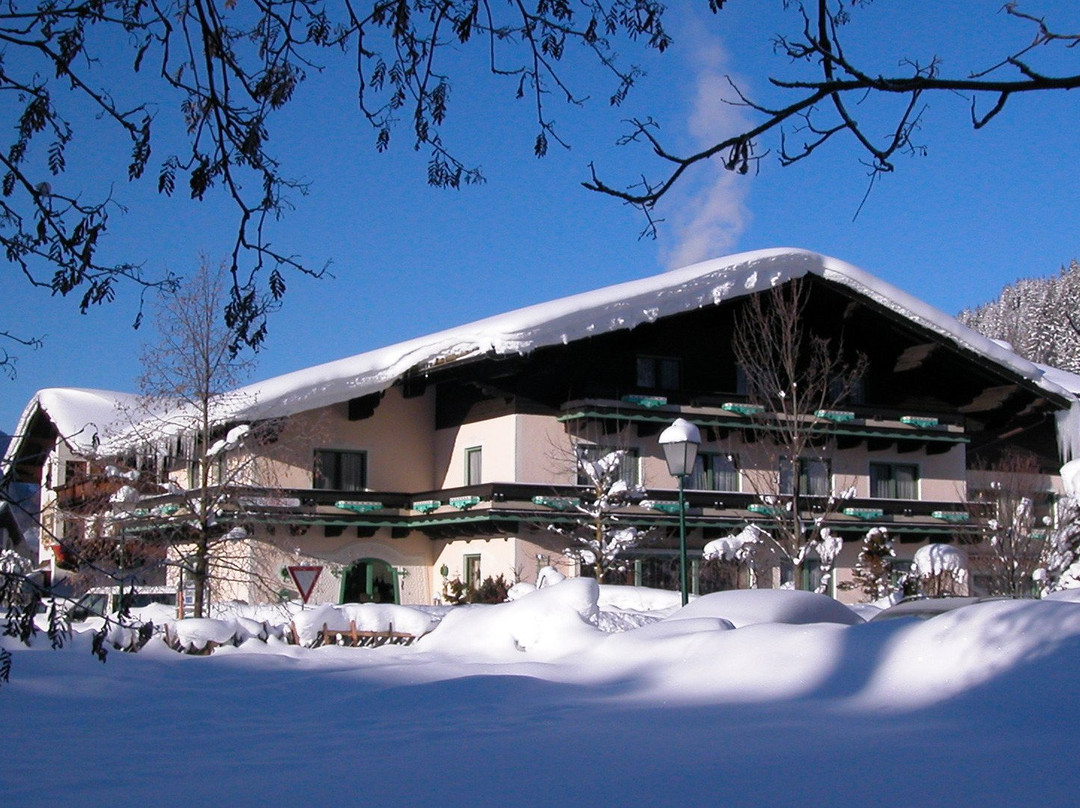 Hotel Alpen Villa Rieder主图