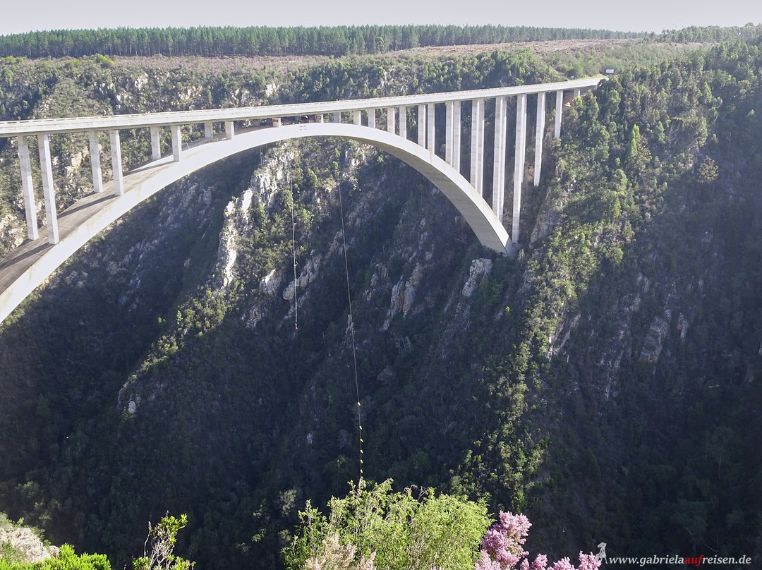 Bloukrans Bungy - Face Adrenalin景点图片