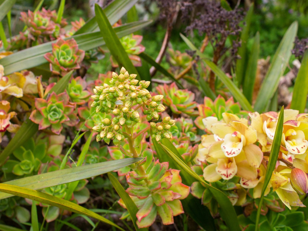 Palm Motel Waihi主图