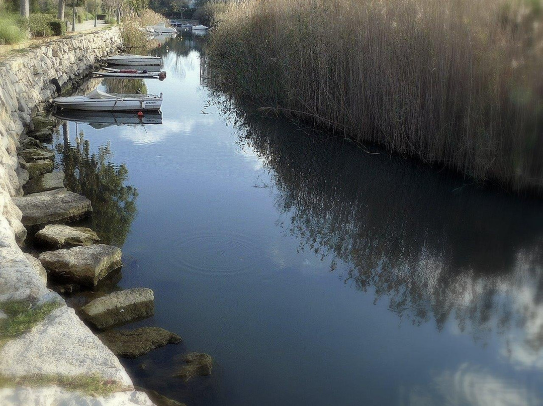 Ibiza My Tours-伊维萨城区必去景点