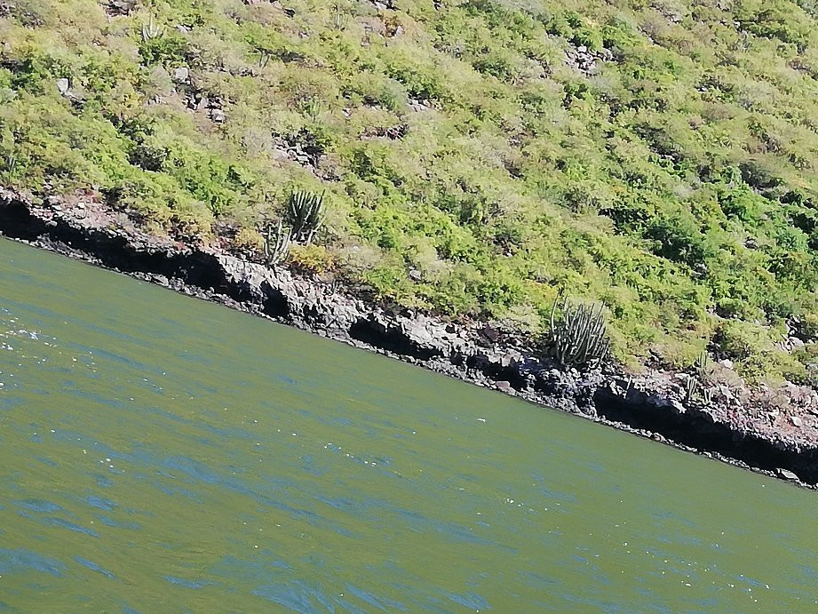 El Pechocho-Topolobampo必去景点