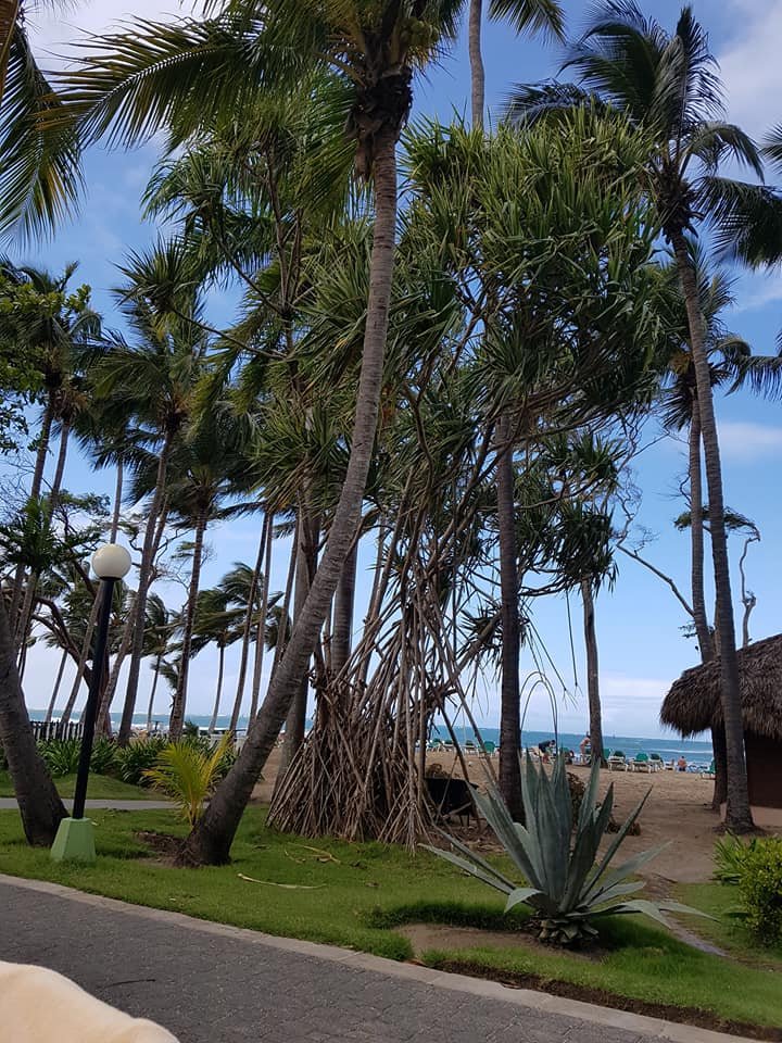 PlayaBachata Spa Resort-泳池