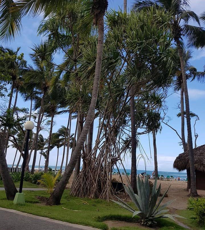 PlayaBachata Spa Resort主图