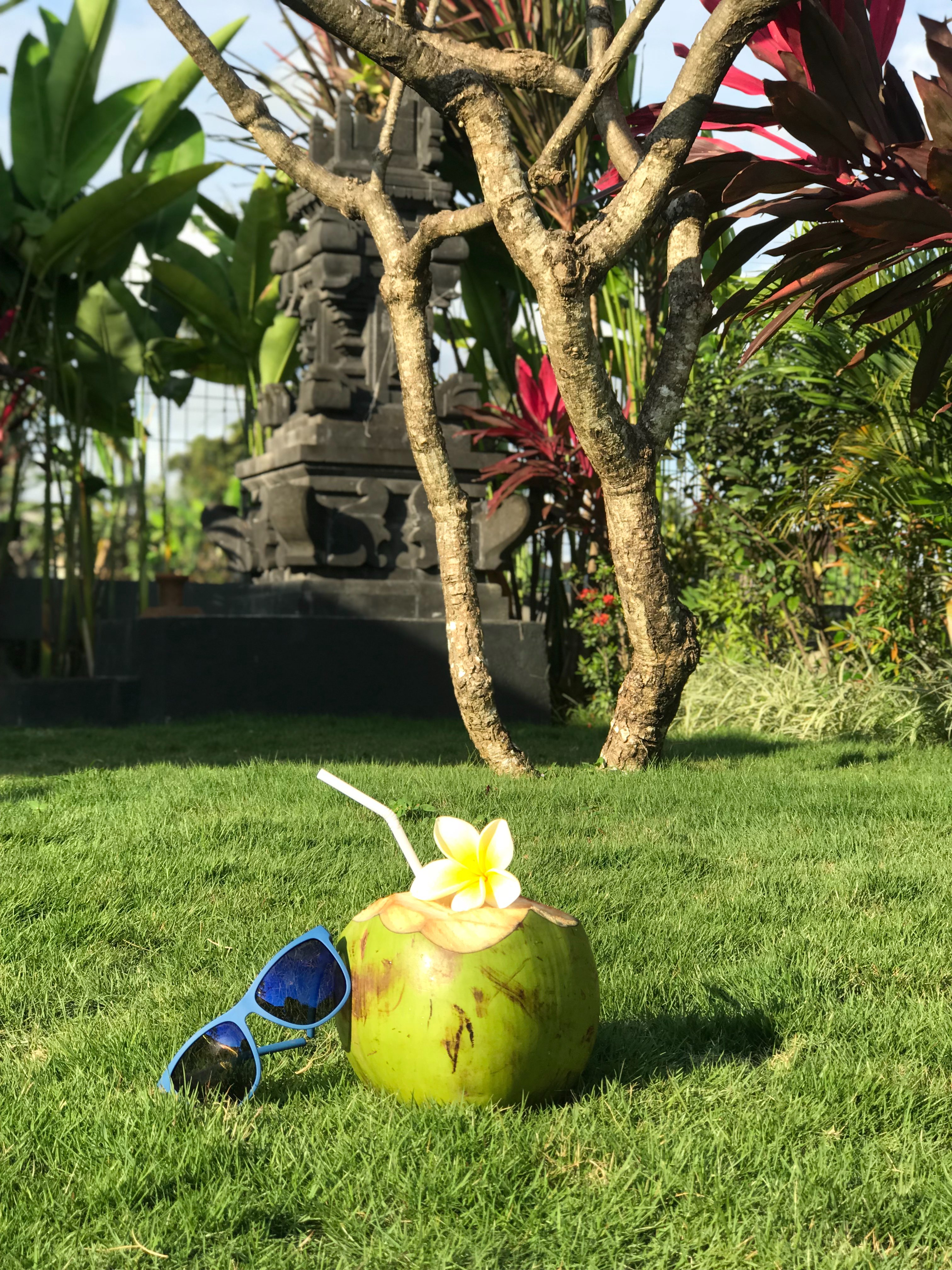 Carik Bali Guest House-泳池