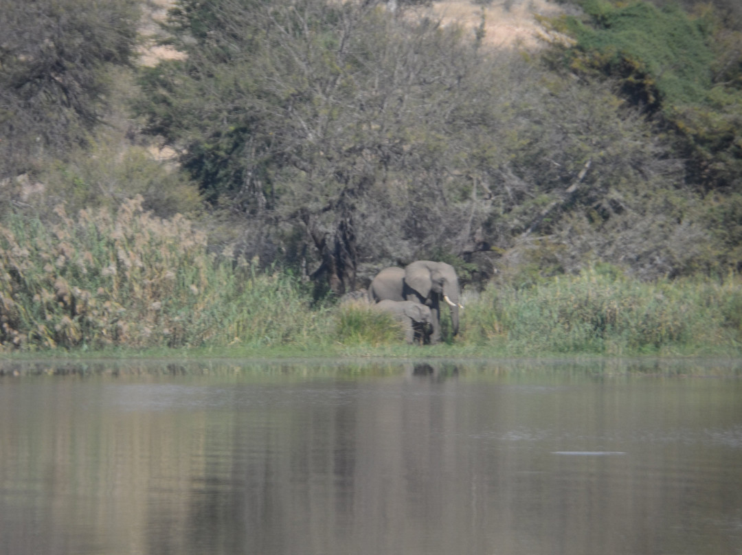 Olifants River Safaris景点图片