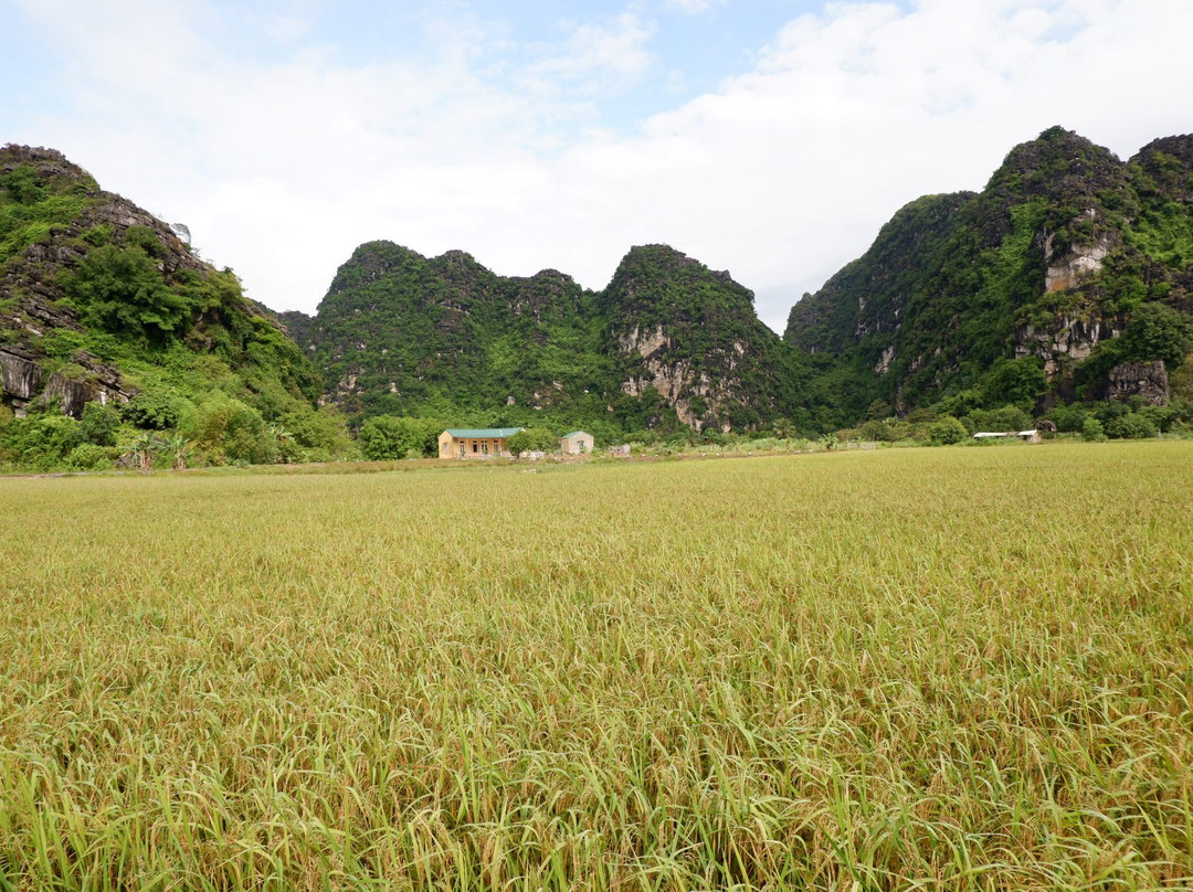 Yen Binh Homestay主图