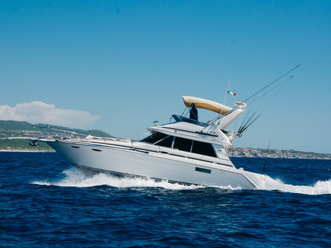 Kingfish Cabo-卡波圣卢卡斯必去景点