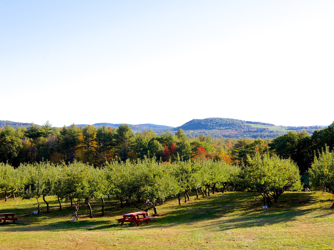 Apple Acres Farm景点图片