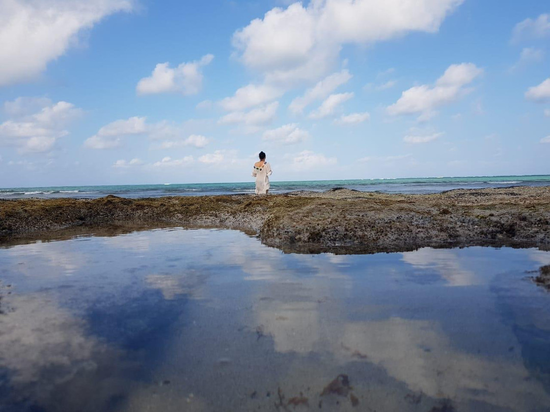 Pontal dos Carneiros Bungalows主图