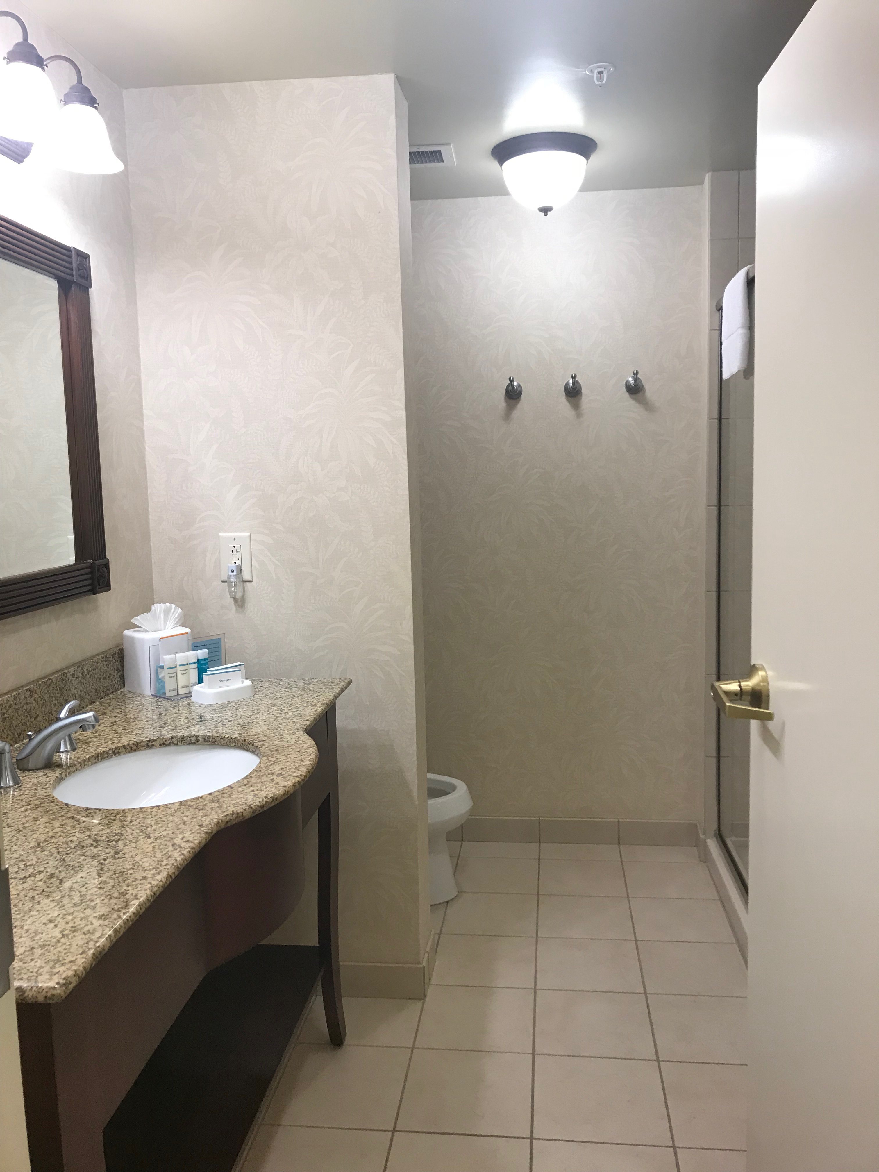 Hampton Inn & Suites North Charleston-University Blvd-浴室