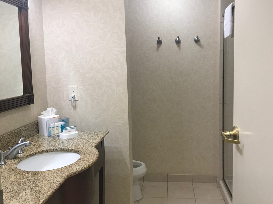 Hampton Inn & Suites North Charleston-University Blvd主图