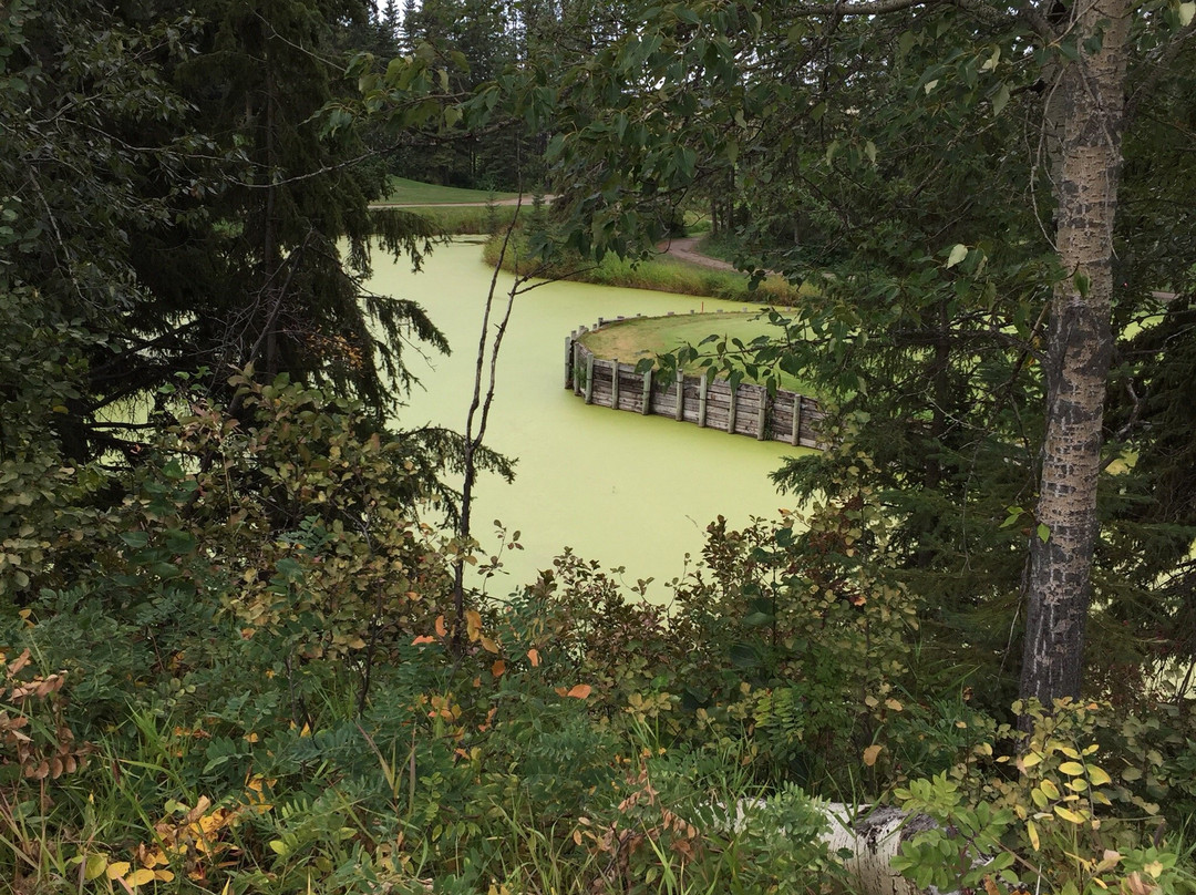 Wolf Creek Golf Course-Ponoka必去景点