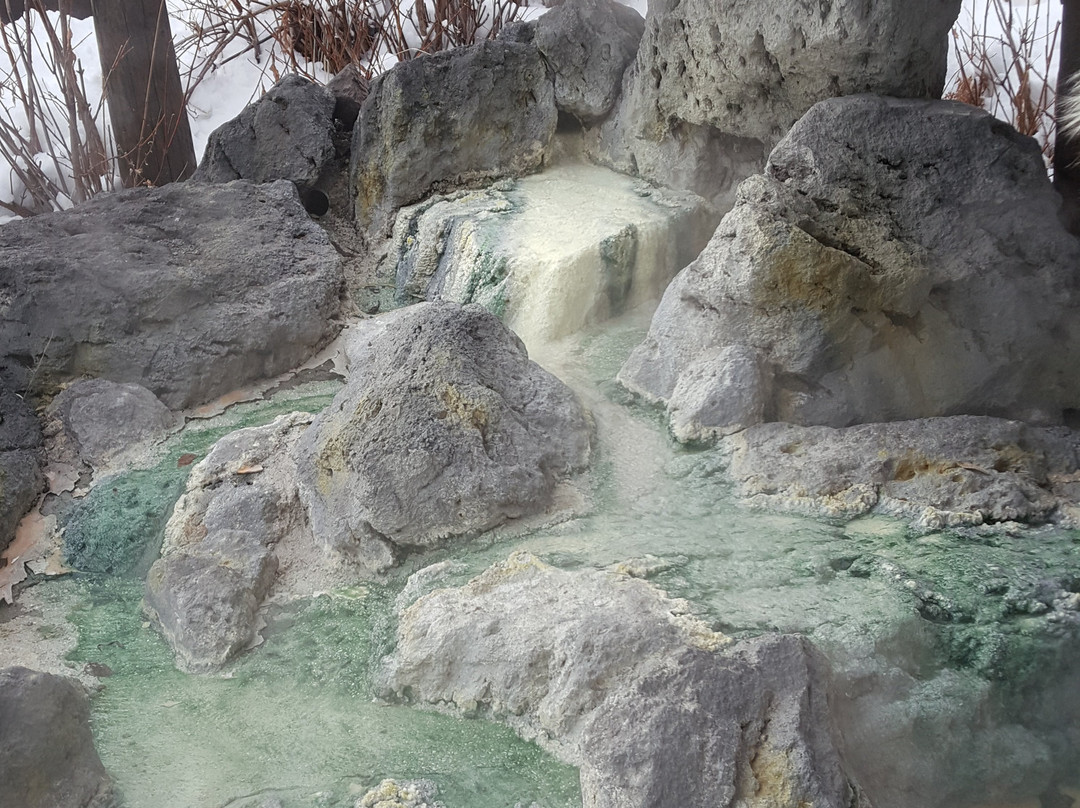 Kawayuonsengai no Ashiyu-弟子屈町必去景点