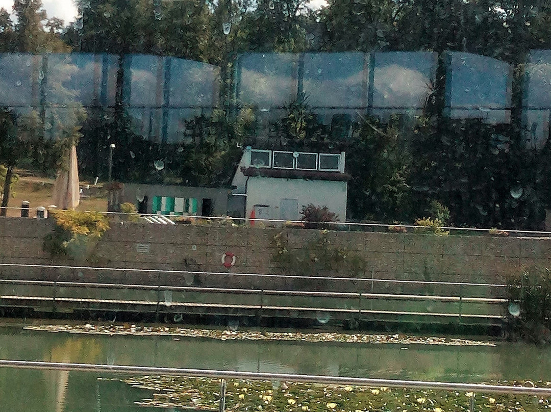 Naturbad Ziegelei SeeBad景点图片