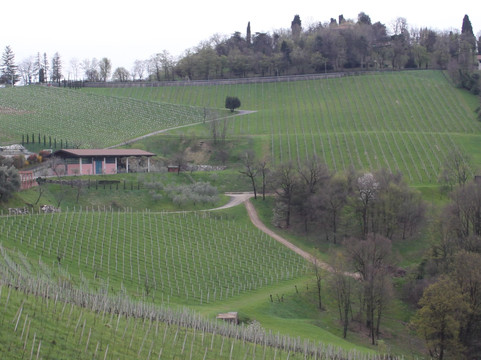 Azienda Agricola Martini di Lucchetti Ippolita-Scanzorosciate必去景点