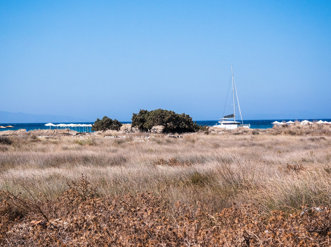 Coralli Beach Apartments主图