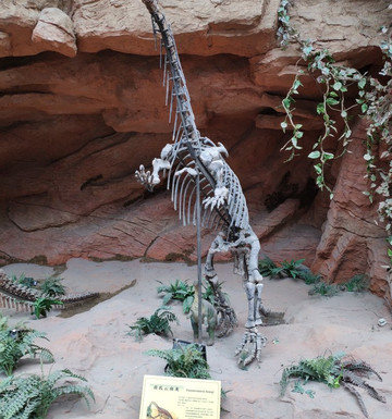 南京地质博物馆-南京市必去景点